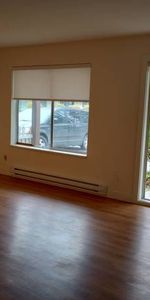 Newly Renovated 1 Bdrm and Den apartment for rent. Rent is $1,895 - Photo 4