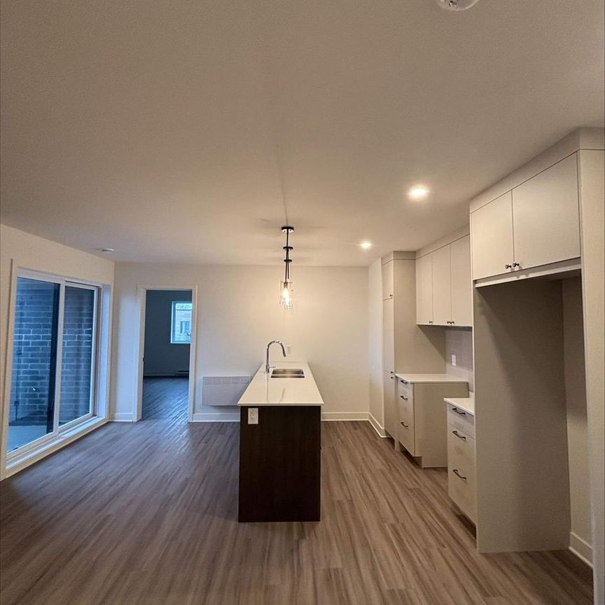 3 CH - 1 SDB - Saint-Hyacinthe - $1,650 /mo - Photo 1