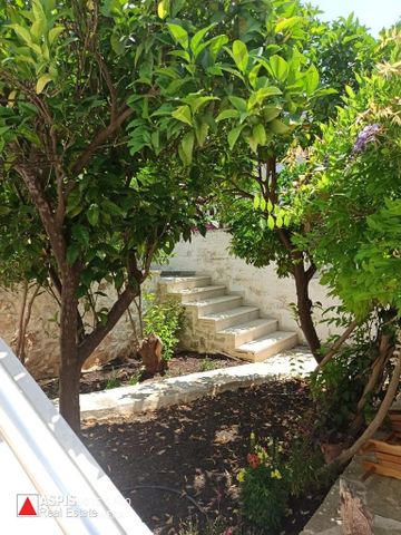 Studio/Γκαρσονιέρα, προς ενοικίαση Λαγονήσι, Καλύβια Θορικού Κωδικός 1007415 - Photo 5