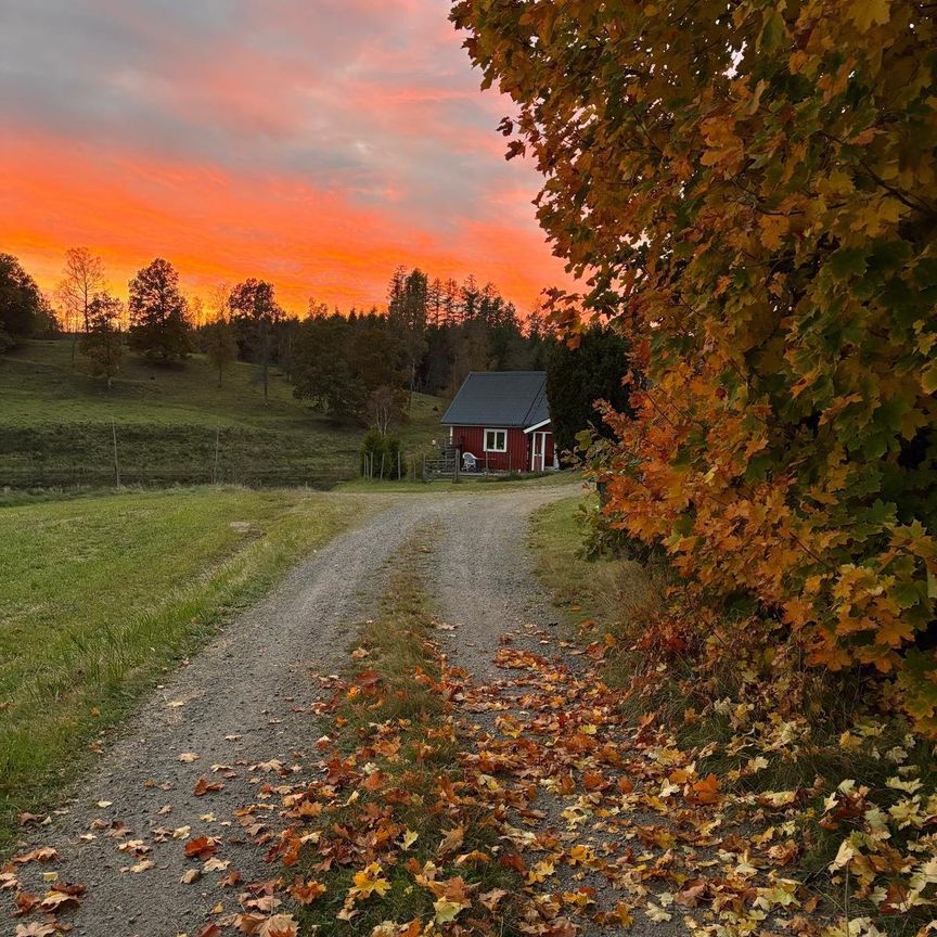 Gamlaryd, Älvsered - Foto 1