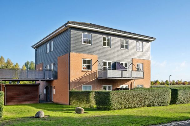 Hvenekildeløkken 200, 5240 Odense NØ - Photo 1