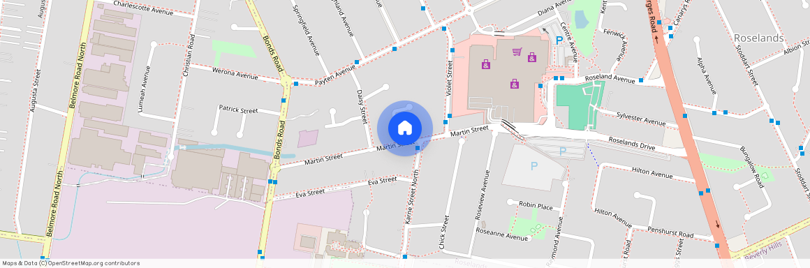 30 Martin Street, Roselands, NSW 2196