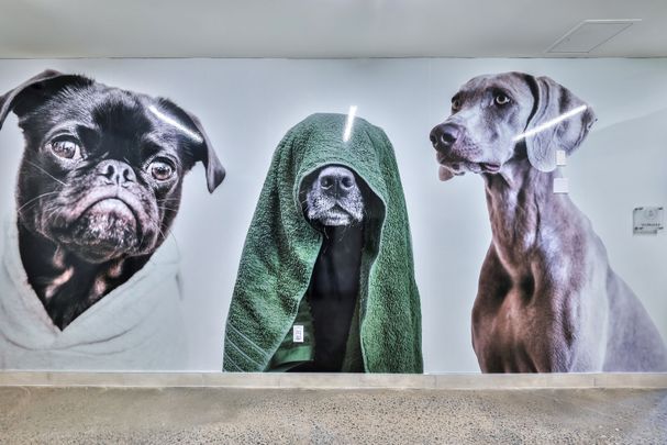 Story of Rideau & Chapel - Photo 1