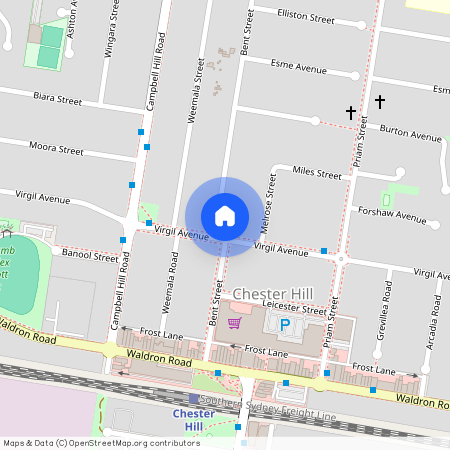 146 Virgil Avenue, Chester Hill NSW 2162