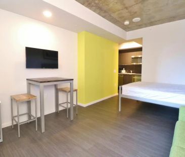 105 Champagne Ave S — Studio/1Bath - Photo 4
