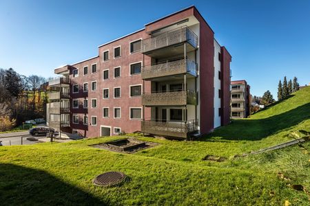 "Bachwis - Natürlich mehr vom Leben" - Foto 5