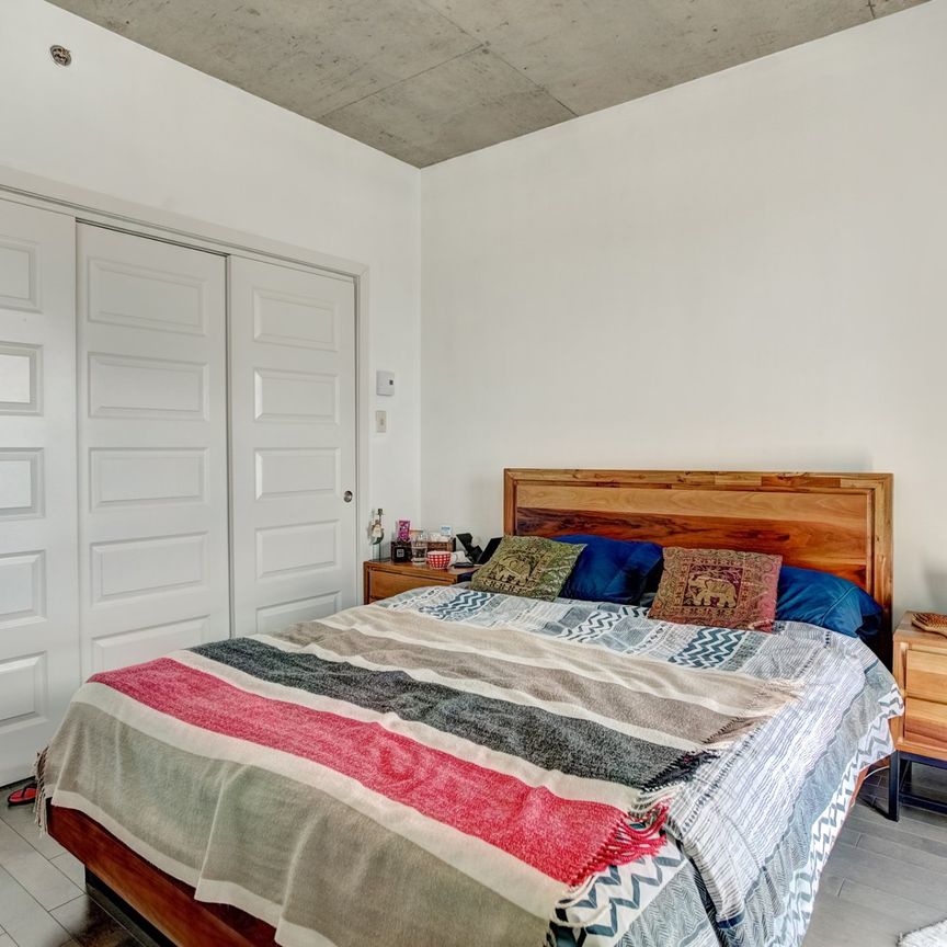 Condo for rent, Mont-Royal - Photo 1
