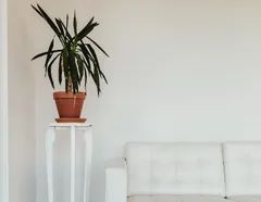 1 room apartment of 60m² in Quebec - Photo 1