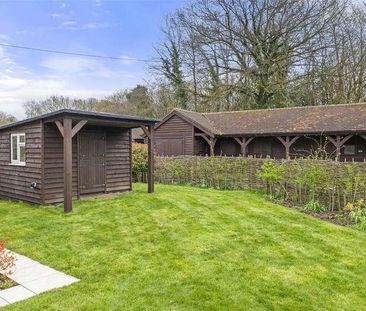 Horsham Road, Abinger Hammer, Dorking, RH5 - Photo 6