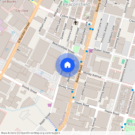 Loft /5 Ralph st, NSW 2015, Alexandria