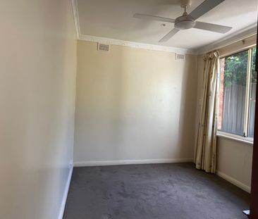 30 Young St, Burnside SA 5066 - House For Rent | Domain - Photo 3