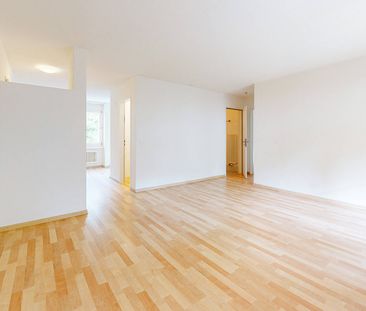 Grosszügige Wohnung in Pfungen - Photo 1
