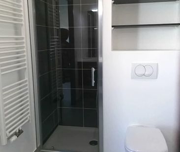 Location Appartement 1 pièce 41m² ANNECY 74000 - Photo 3