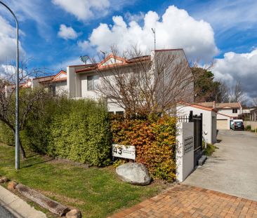 6/43 Port Jackson Circuit, Phillip ACT 2606 - Townhouse For Rent | ... - Photo 4
