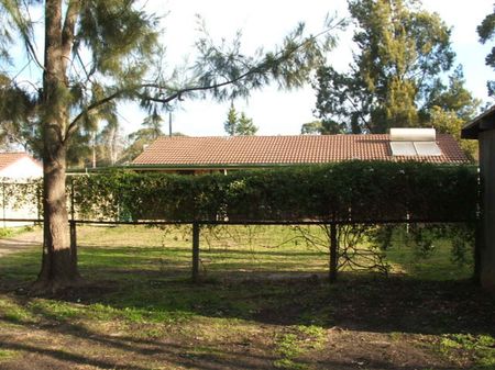 4 bedroom family home + granny flat - Photo 3