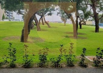 Apartamento T1 em Porto