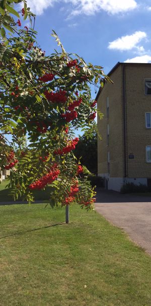 Trollbackevägen, Kalmar - Photo 1