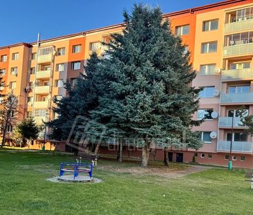 DIRECTREAL|Znížená cena Moderne zariadený 1 izbový byt na prenájom ... - Photo 5