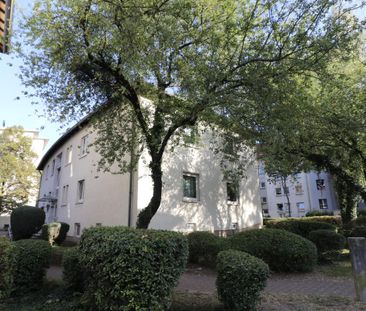 4-Zimmer-Erdgeschoss-Wohnung im beliebten Woogsviertel - Foto 3