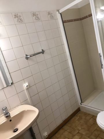 Location Appartement 1 pièce 25m² LYON 7ème - Photo 4
