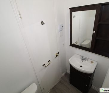 Studio-166, rue St-Adélard, Limoilou à louer - Photo 3