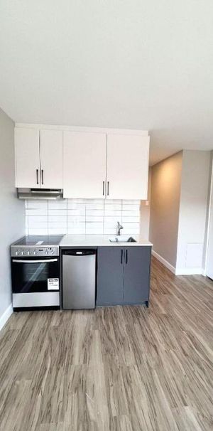 Studio - Montréal - $1,060 /mo - Photo 1