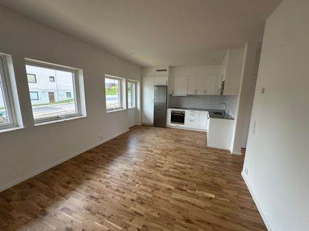 De gamlas väg, Rimbo - Foto 2