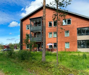 Innovationsgränd 2, 94163, Piteå - Foto 3