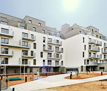 ab Jänner 2027: GEKÜHLTE ESTLICHE GROSSE 2 ZIMMER NEUBAUWOHNUNG MIT... - Photo 6