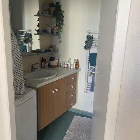 Location Appartement 2 pièces 25m² NANTES 44300 - Photo 3