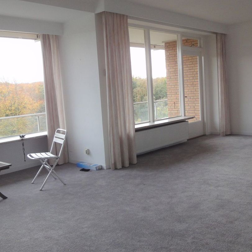 Appartement te huur: Ruychrocklaan 418 2597 EH Den Haag - Foto 1