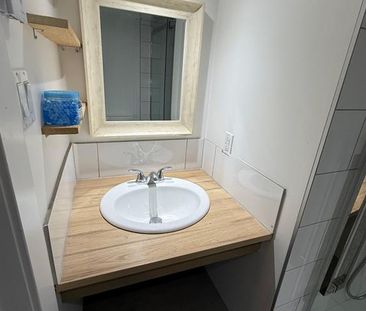 126 Rue Mont Royal - Photo 3