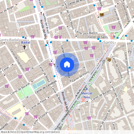 Carrer del Tinent Flomesta, Barcelona, Catalonia 08028