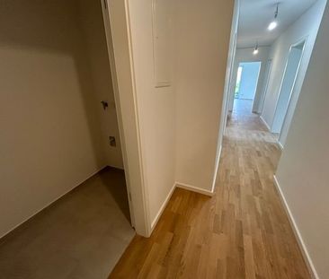 Neubau - Erstbezug - Attraktive 3- Zimmer Wohnung mit Loggia zu ver... - Photo 5