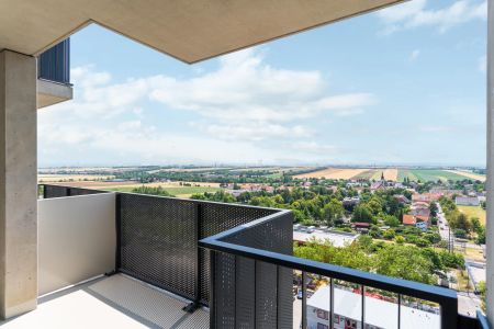 Serviced Apartment mit Balkon in Oberlaa! All inclusive! - Photo 3