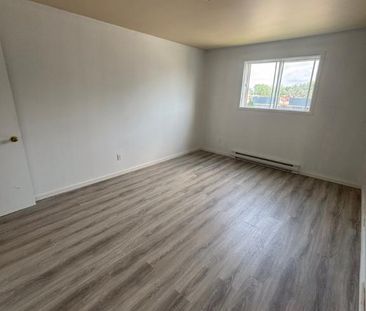 À Charlemagne, 1 grand 4 1/2 et 3 grands 5 1/2 à louer, disponible ... - Photo 3