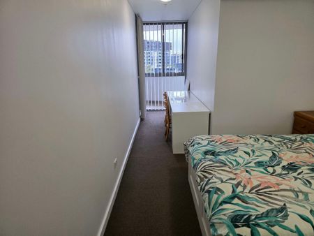 Parramatta - Photo 2