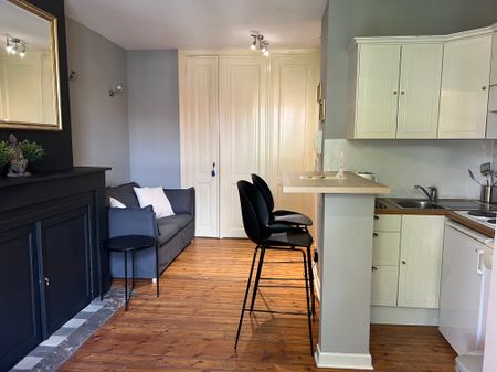 Schön eingerichtetes Studio in Shuman. - Foto 3