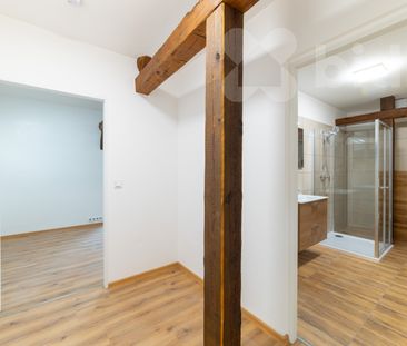 Pronájem bytu 1+1 48 m² - Fotografie 4