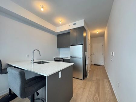 Montréal (Le Sud-Ouest) (Griffintown) - Photo 4