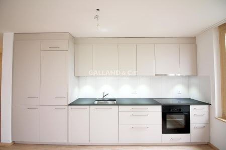 Beautiful 3½ room apartment with terrace and garden - Photo 3