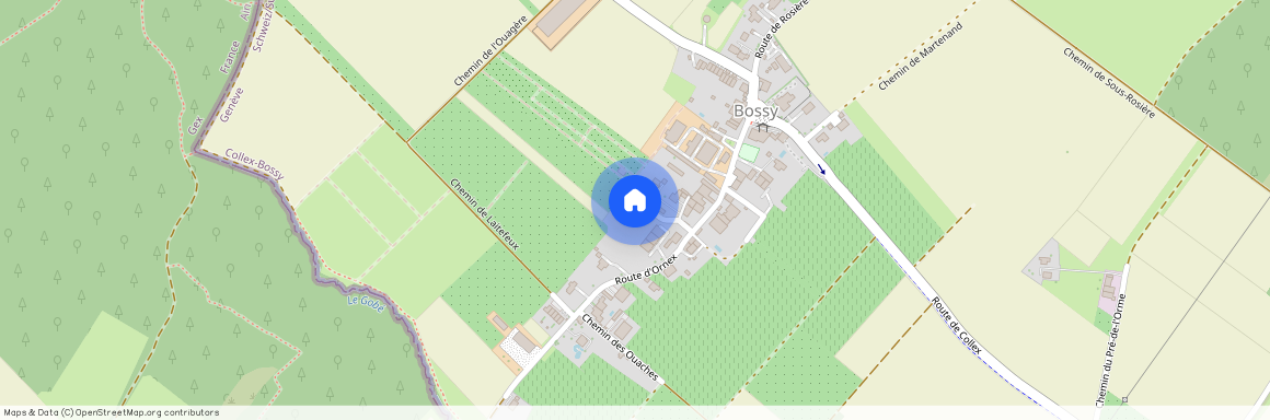 Impasse des Barjins 9, 1239 Collex