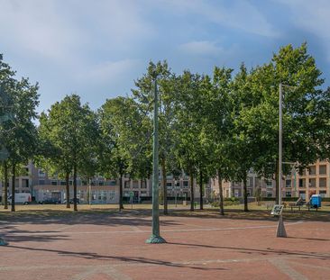 Frans Joseph van Thielpark 80 - Photo 4