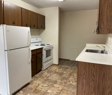 SPACIOUS 2 Bedroom APARTMENT!! GREAT LOCATION Downtown!!! - Photo 6