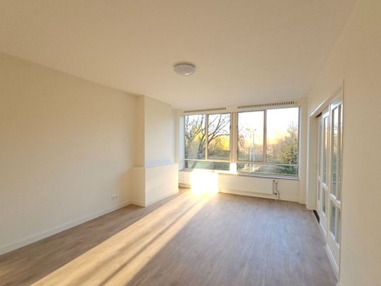 Appartement te huur: Segbroeklaan 538 2565 DH Den Haag - Photo 1