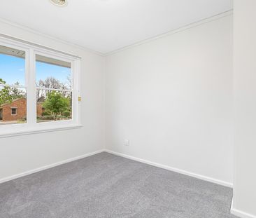 90 Walker Cres, Narrabundah ACT 2604 - House For Rent | Domain - Photo 4