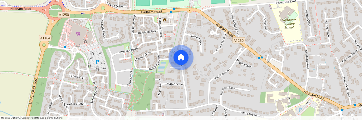 Dane Park, CM23, Bishops Stortford