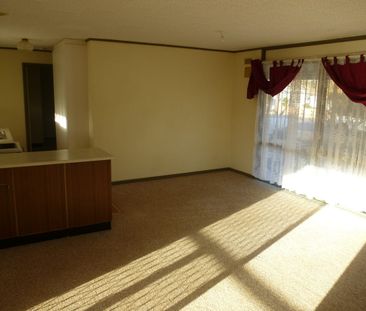 Easy Care Yard - Photo 1