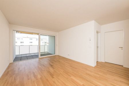 Small but nice - Photo 3