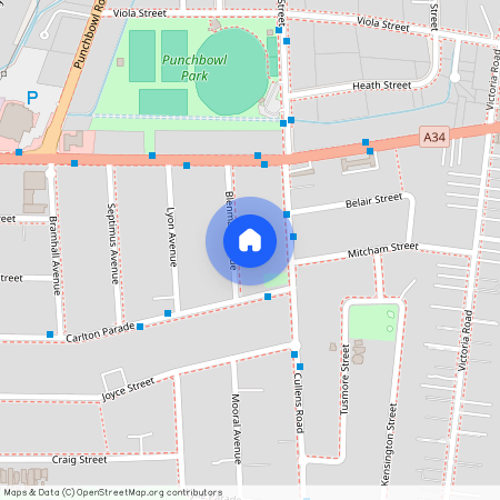 18 Blenman ave, NSW 2196, Punchbowl